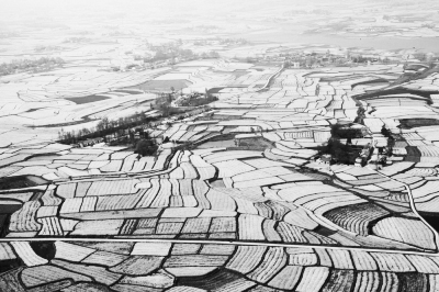 伟德国际1949始于英国